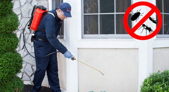 Bekilli Kene İlaçlama böcek ilaçlama ve haşere kontrolü — ilaclama-tr.com